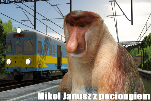 januszzpuciongiem.png