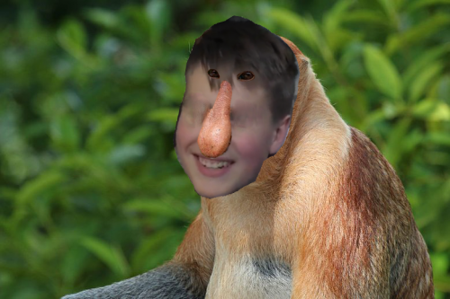 trajnfannosacz.png