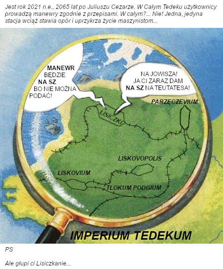 lisiczki.jpg